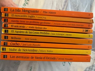 Lote 9 libros “El barco de vapor”