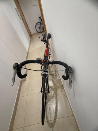 Bicicleta Zeus carretera