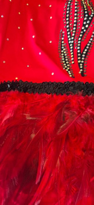 Maillot patinaje rojo con plumas