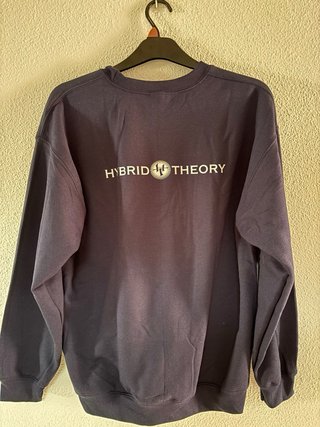 Sudadera Hybrid Theory (Linkin Park)