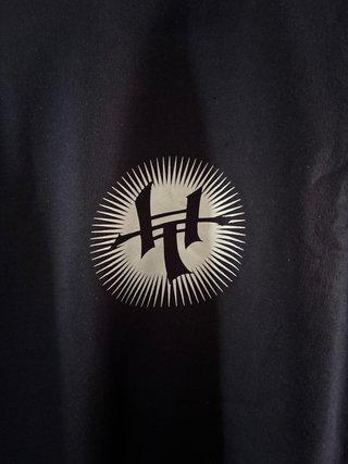 Sudadera Hybrid Theory (Linkin Park)