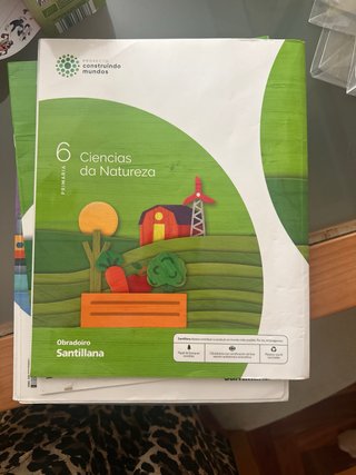 CIENCIAS DA NATUREZA 6 PRIMARIA CONSTRUINDO MUNDOS