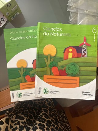CIENCIAS DA NATUREZA 6 PRIMARIA CONSTRUINDO MUNDOS