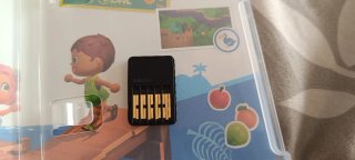 Animal Crossing New Horizons Nintendo Switch