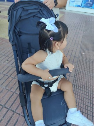 Carrito de paseo Asalvo