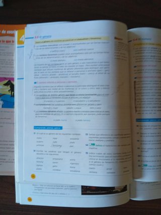 Lengua castellana y literatura ESO 1