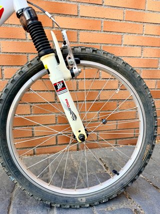 Bicicleta Infantil Boomerang Attack 20”