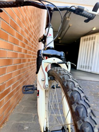 Bicicleta Infantil Boomerang Attack 20”