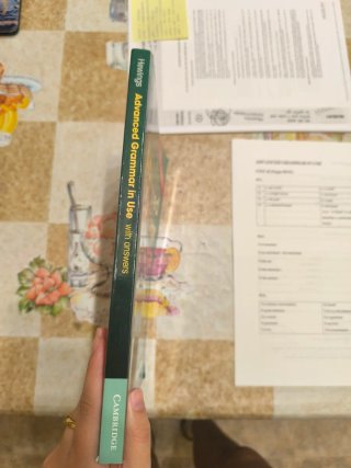 Advanced Grammar in Use - Third Edition