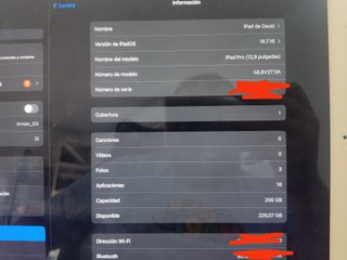 iPad Pro 12.9 1ª Gen Plata