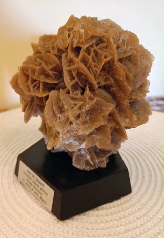 Rosa del deserto su base in legno