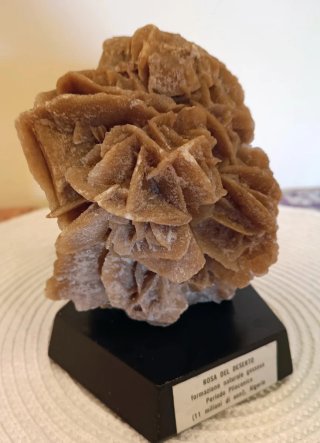 Rosa del deserto su base in legno