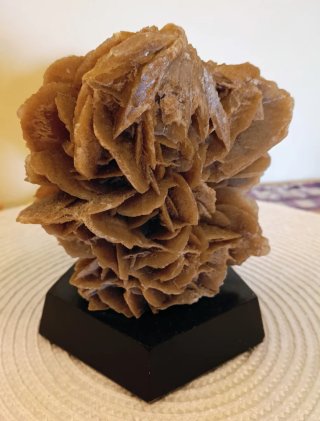 Rosa del deserto su base in legno