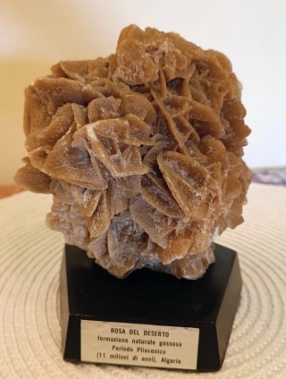 Rosa del deserto su base in legno