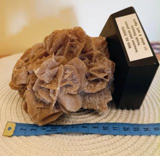 Rosa del deserto su base in legno