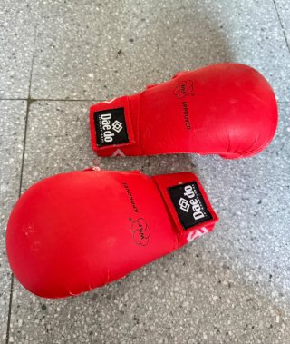 Protecciones Daedo Karate/Judo Talla M