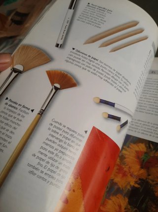 Libro pintura