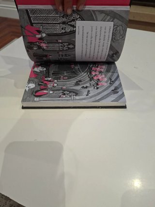 Libro Isadora Moon y la noche mágica