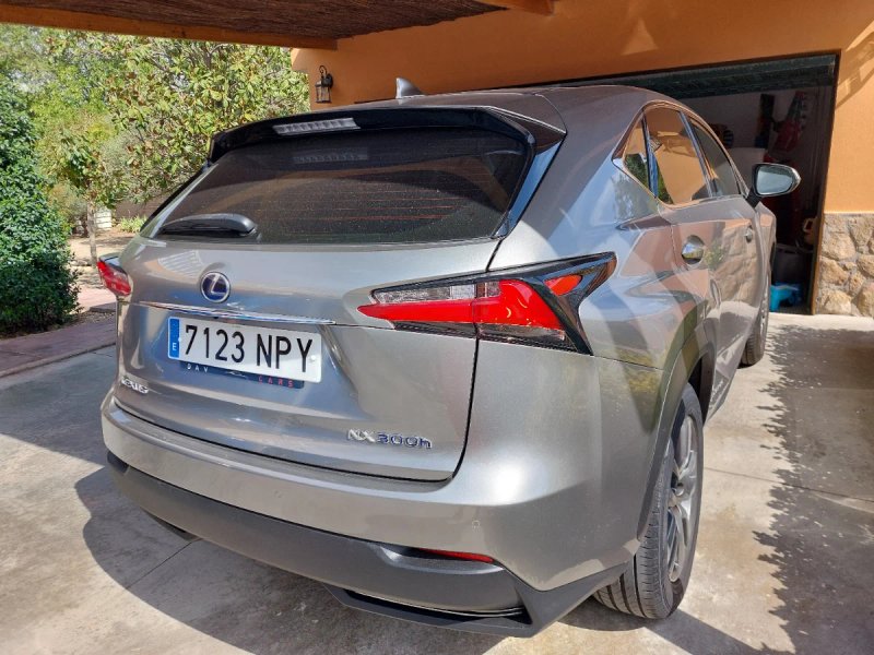 Lexus NX 300h Executive 4WD 2016, foto 3