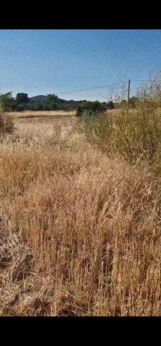 Vendo terreno en Hinojosa del duque(Córdoba)