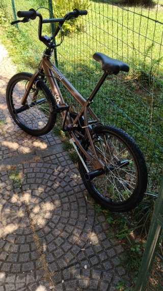 Bmx GRAFFITY