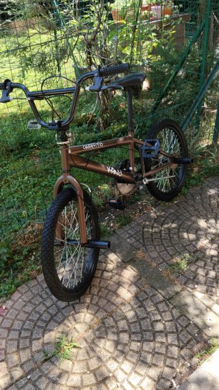 Bmx GRAFFITY