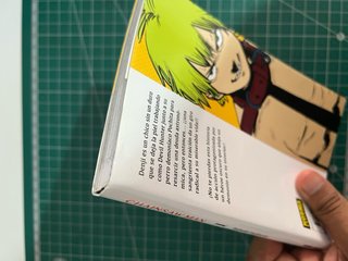 Manga
