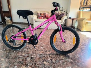 Bicicleta Specialized Hotrock 20 Rosa