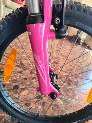 Bicicleta Specialized Hotrock 20 Rosa