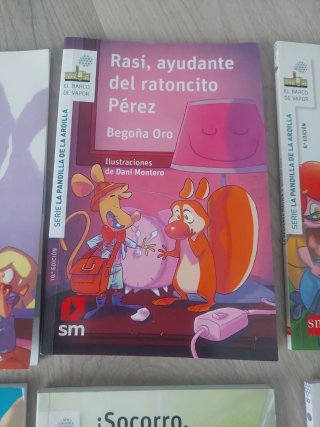 Lote libros Rasi