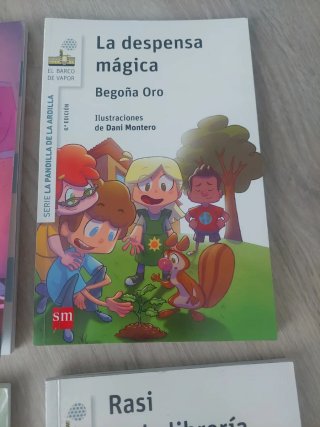 Lote libros Rasi