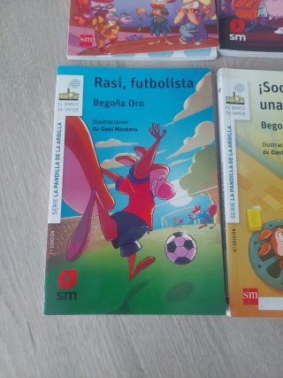 Lote libros Rasi