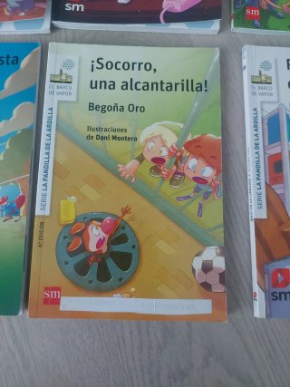 Lote libros Rasi