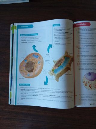 Bioloxía e xeoloxía, 1 ESO