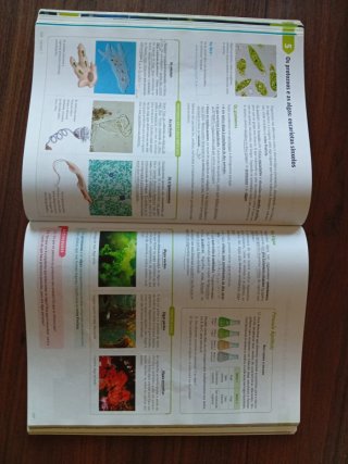 Bioloxía e xeoloxía, 1 ESO