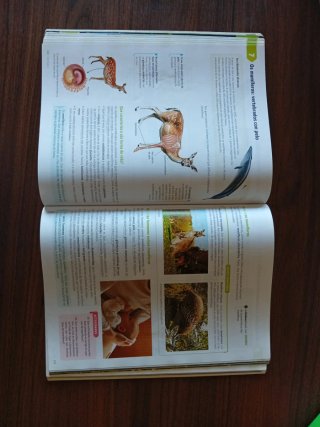 Bioloxía e xeoloxía, 1 ESO