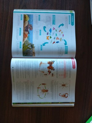 Bioloxía e xeoloxía, 1 ESO