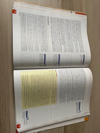 Filosofía, Bachillerato 1