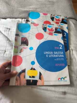 Lingua galega e literatura, ESO 2