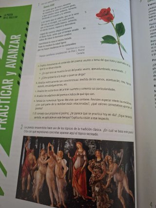 Lengua castellana y Literatura 1° Bachillerato