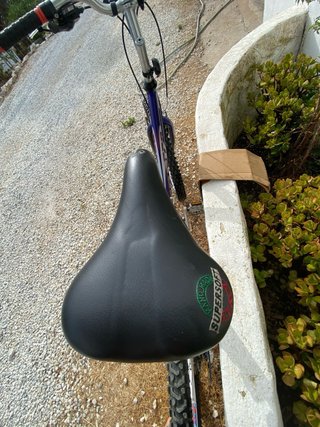 Bicicleta Trek 820 Mujer 20”