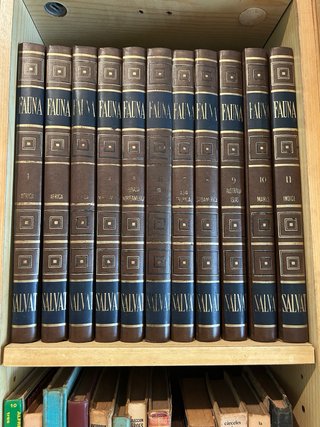 Libros antiguos