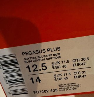 Nike Pegasus Plus Talla 47