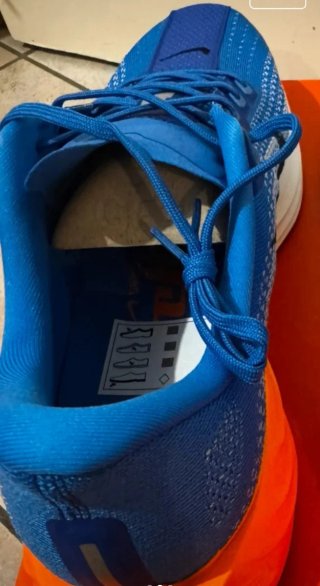 Nike Pegasus Plus Talla 47
