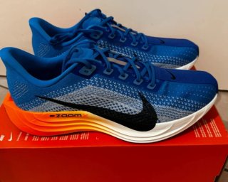 Nike Pegasus Plus Talla 47