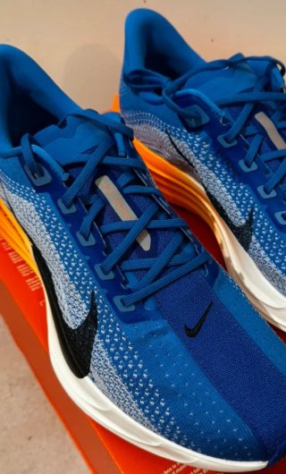 Nike Pegasus Plus Talla 47
