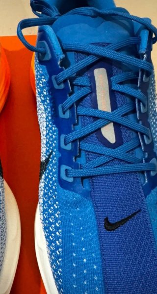 Nike Pegasus Plus Talla 47