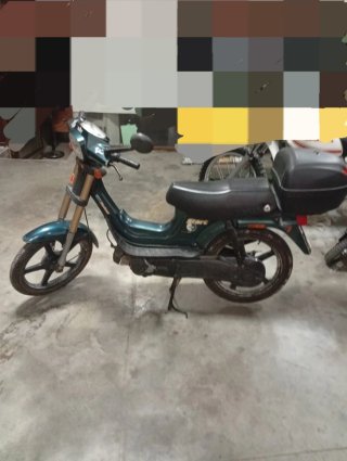 Derbi Variant Moped Verde/Negro