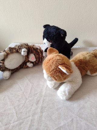 Set 3 gatitos peluches