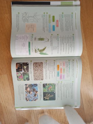 Libro Biología y Geología 1 ESO Santillana